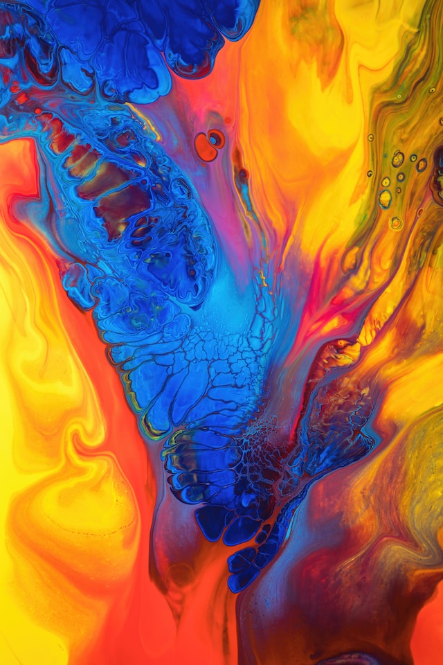 Explore Lion Accountability Browser