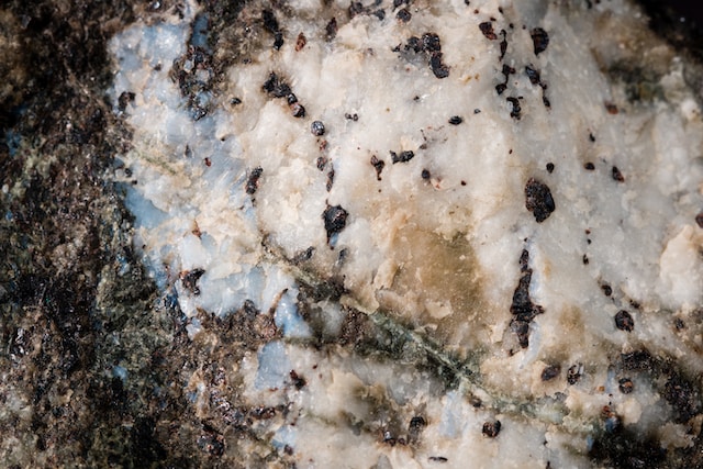 : Dive into the world of AI Photo Service