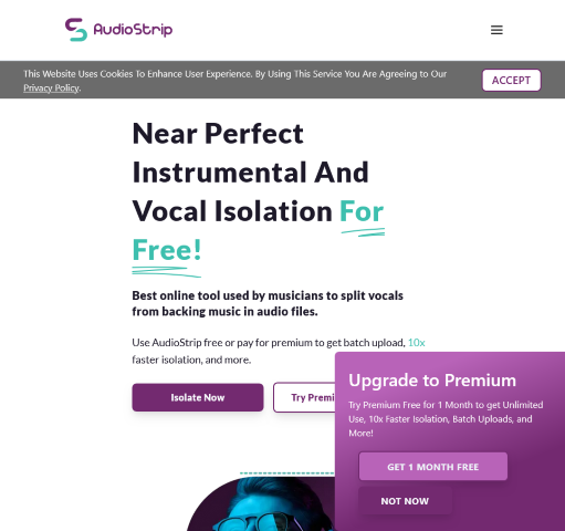 AudioStrip provides an efficient way to remove or isolate vocals from songs.