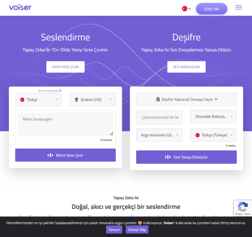 Explore Voiser