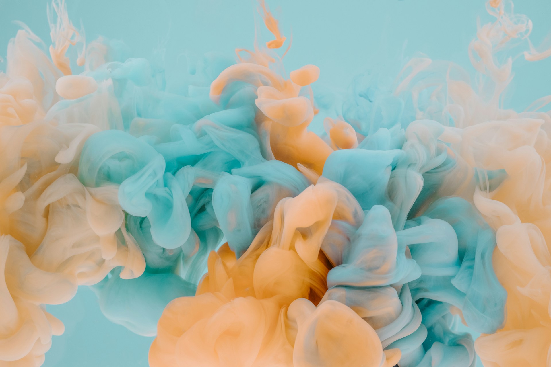 Explore Interflexion